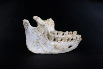 Fossils Found in Moroccan Cave Offer Insights into Homo Sapiens Ancestry