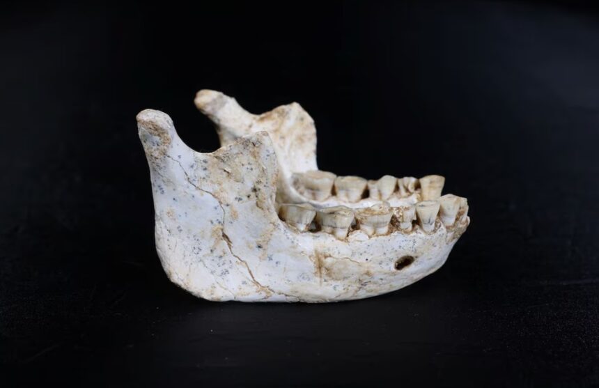 Fossils Found in Moroccan Cave Offer Insights into Homo Sapiens Ancestry