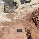 Excavations Reveal Justinian-era Harbour at Ancient Peyia