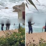 Culture of Animal Cruelty in Cyprus Highlighted by Paphos Turtle Abuse