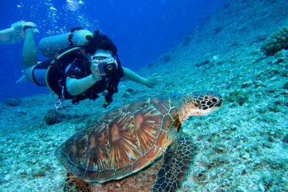 Diving Guide for Sustainable Tourism in Paralimni