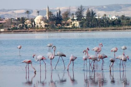 Larnaca Salt Lake Park to Welcome €2.6m Environmental Centre After 15-Year Delay