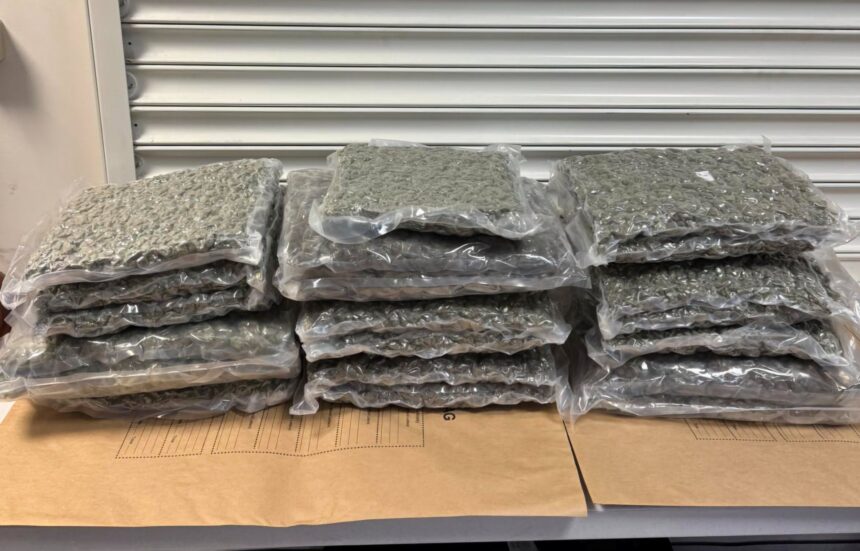 Ykan Seizes 100kg of Drugs in Nicosia Operation