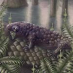 Ancient Fossil Discovery: Tyrannoroter heberti, One of the Earliest Plant-Eating Animals