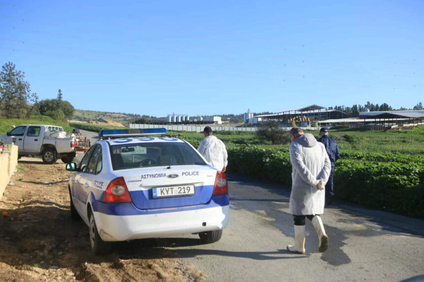 Geri Foot-and-Mouth Sweep Discovers 23 Illegally Kept Cattle