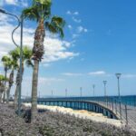 Limassol's Chamber of Commerce Boosts Social Media to Restore Safety Image