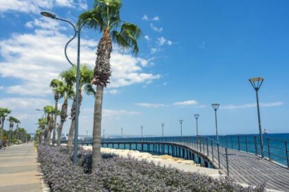 Limassol's Chamber of Commerce Boosts Social Media to Restore Safety Image