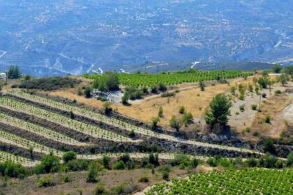Cyprus’ Hidden Gem Winery: Nelion