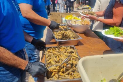 Join the Excitement at the 11th Fish Festival in Polis Chrysochous