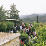 Cultural Festivities and Music Events This Weekend
