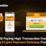 Switch to Coinremitter for Lower Crypto Payment Gateway Fees