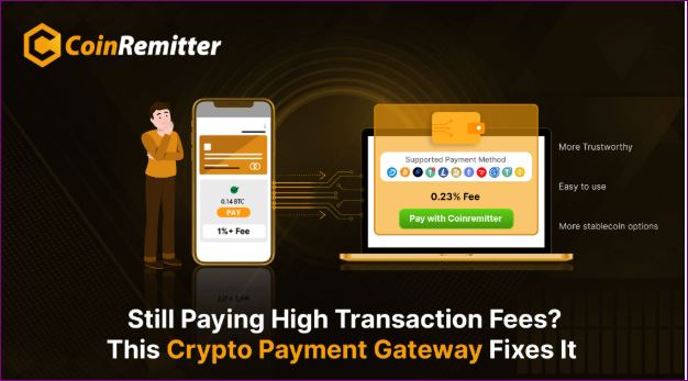 Switch to Coinremitter for Lower Crypto Payment Gateway Fees