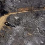 Severe Penalties for Lighting Fires Near Cyprus Forests