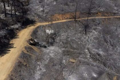 Severe Penalties for Lighting Fires Near Cyprus Forests