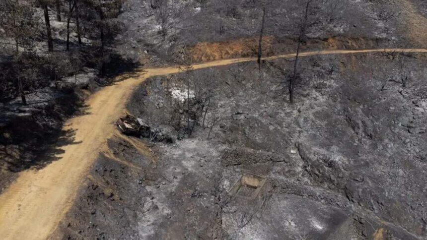 Severe Penalties for Lighting Fires Near Cyprus Forests