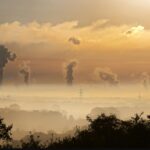 European Carbon Output Rise Driven by Energy and Transport Sectors