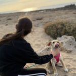 Yoga Retreat Offers Rescue Puppies a Path to Forever Homes