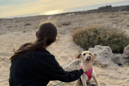 Yoga Retreat Offers Rescue Puppies a Path to Forever Homes