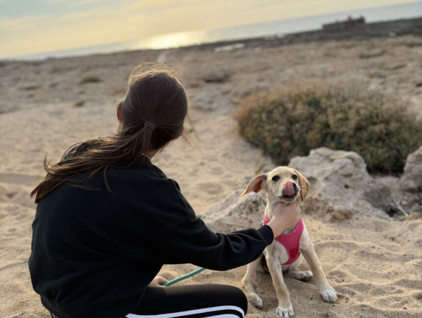 Yoga Retreat Offers Rescue Puppies a Path to Forever Homes
