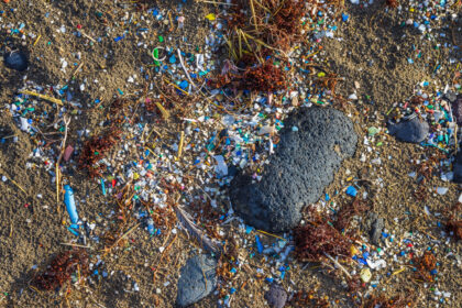 Microplastics Transform Cyprus Beaches into Colourful Mosaics