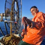 Protect Cyprus Maritime Life from Bottom Trawling
