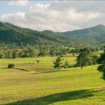 BirdLife Calls for Biodiversity Protection in New Parliament