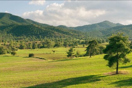 BirdLife Calls for Biodiversity Protection in New Parliament