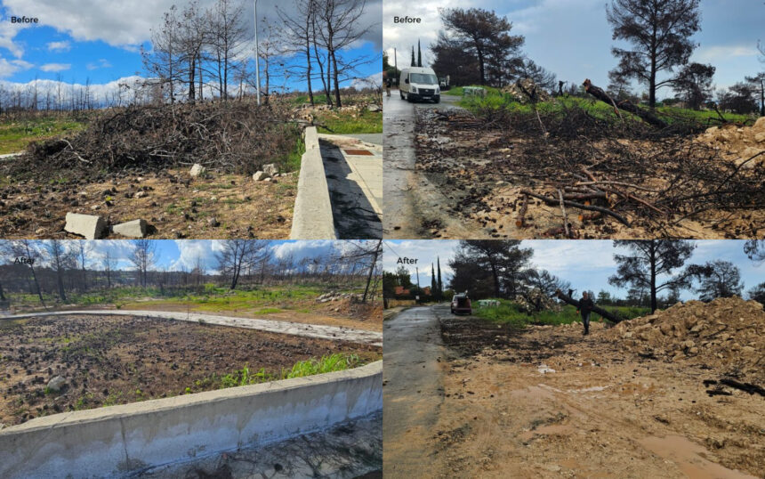 TechIsland Enhances Wildfire Recovery Efforts in Souni