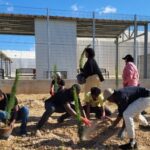 Tree Planting Initiative at Pournara Migrant Centre Enhances Environment