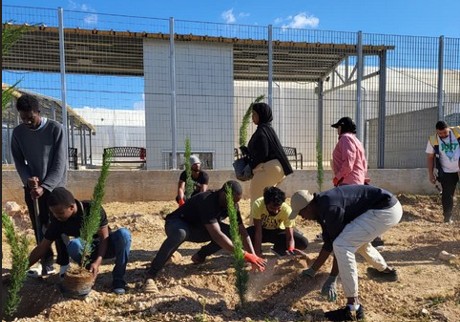 Tree Planting Initiative at Pournara Migrant Centre Enhances Environment
