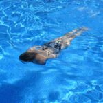 Nicosia Municipal Swimming Pool Set to Reopen for Summer 2026