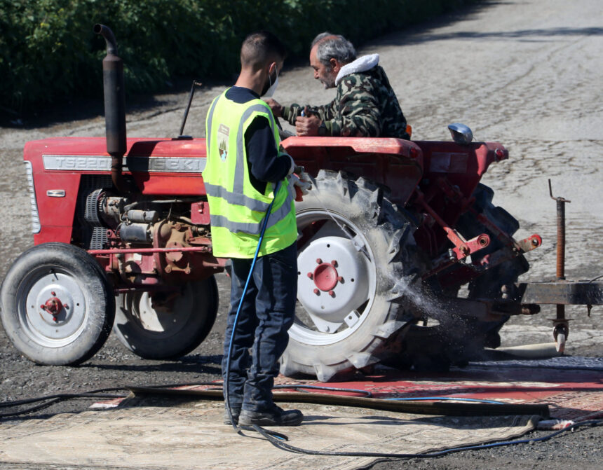 Animal culling: Government Intensifies Penalties as Foot-and-Mouth Disease Culling Continues