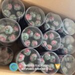 Cannabis Lollipops and Counterfeit Goods Seized in Limassol