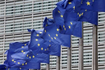 The Digital Euro Debate: Who Controls Your Money?
