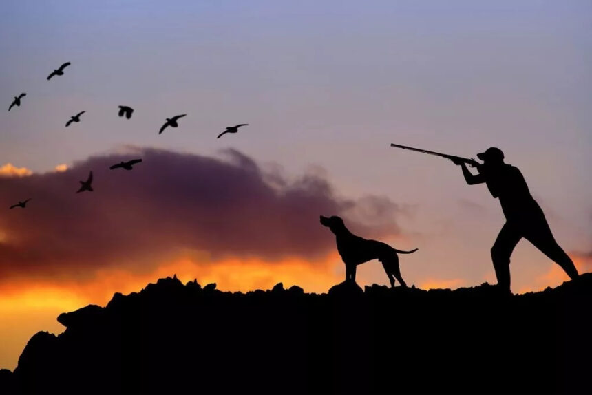 Cyprus Hunting Licence Fees to Rise Significantly Under New Bill