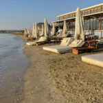 Terra Cypria Criticises British Bases Over Turtle Protection at Lady's Mile