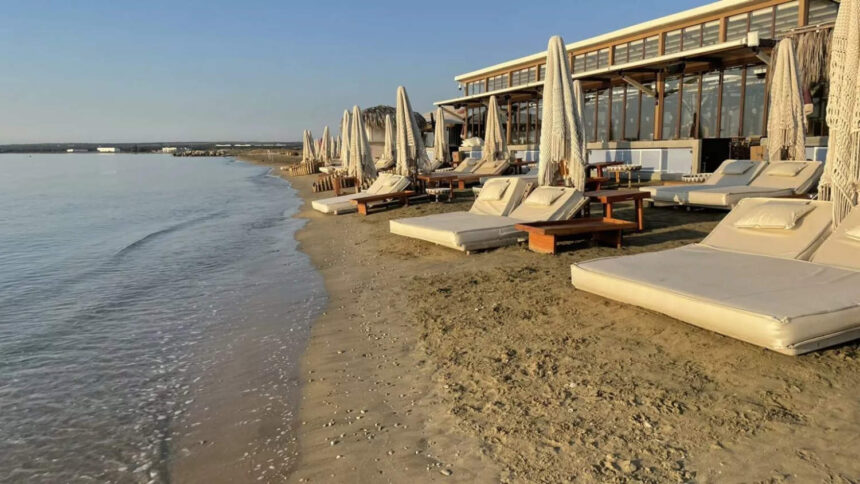 Terra Cypria Criticises British Bases Over Turtle Protection at Lady's Mile