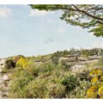 Cyprus Establishes First Crematorium After 25 Years of Advocacy