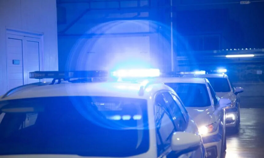 Cyprus Police Operation Results in Nine Arrests During Citizen Stops
