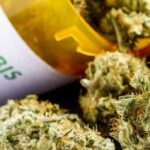 Famagusta drugs: Famagusta Police Seize Seven Kilos of Drugs