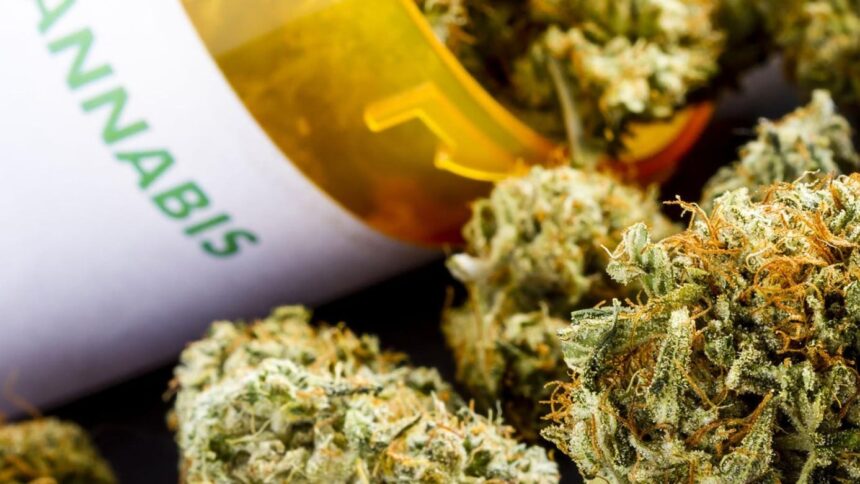 Famagusta drugs: Famagusta Police Seize Seven Kilos of Drugs