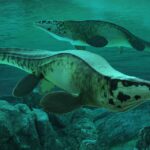 Tylosaurus rex: The T. rex of the Sea