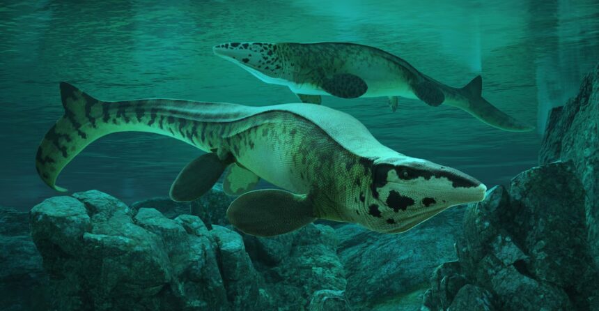 Tylosaurus rex: The T. rex of the Sea