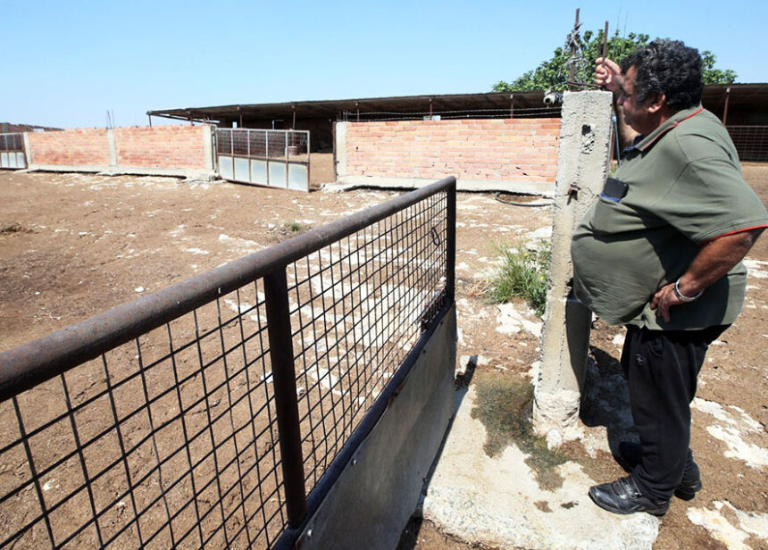 Foot and Mouth Disease Trauma in Cyprus' Farming Community