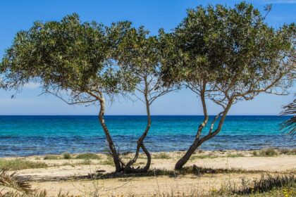 Cyprus Achieves 100% Excellent Rating for Bathing Waters in 2025