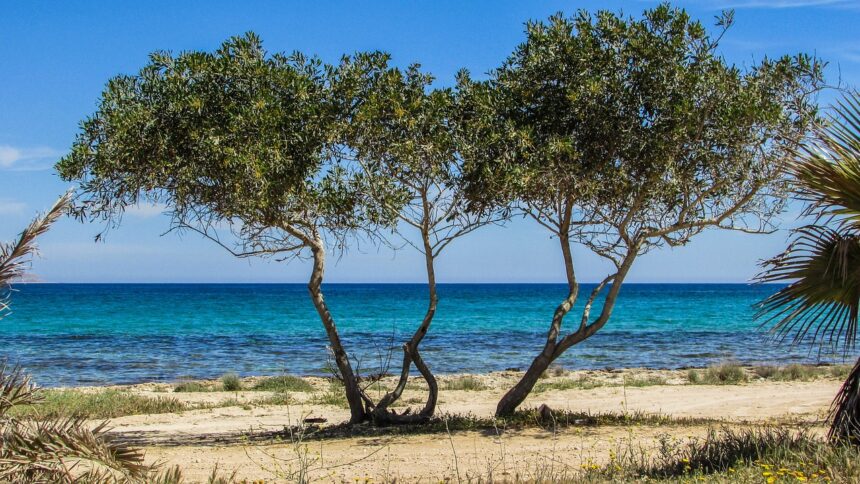 Cyprus Achieves 100% Excellent Rating for Bathing Waters in 2025