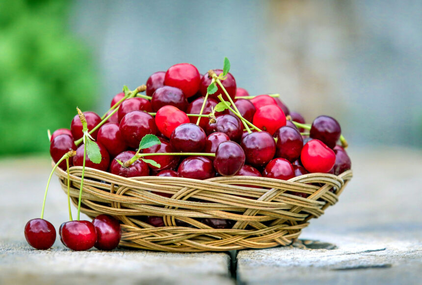 Cherry Festival in Pedoulas: Celebrate with Music, Dance, and Local Flavours