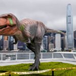 Tyrannosaurus Rex: The Evolution of Its Massive Head and Small Arms
