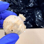Police Dismantle Major Opiate Trafficking Ring in Cyprus
