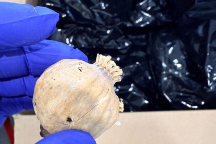 Police Dismantle Major Opiate Trafficking Ring in Cyprus